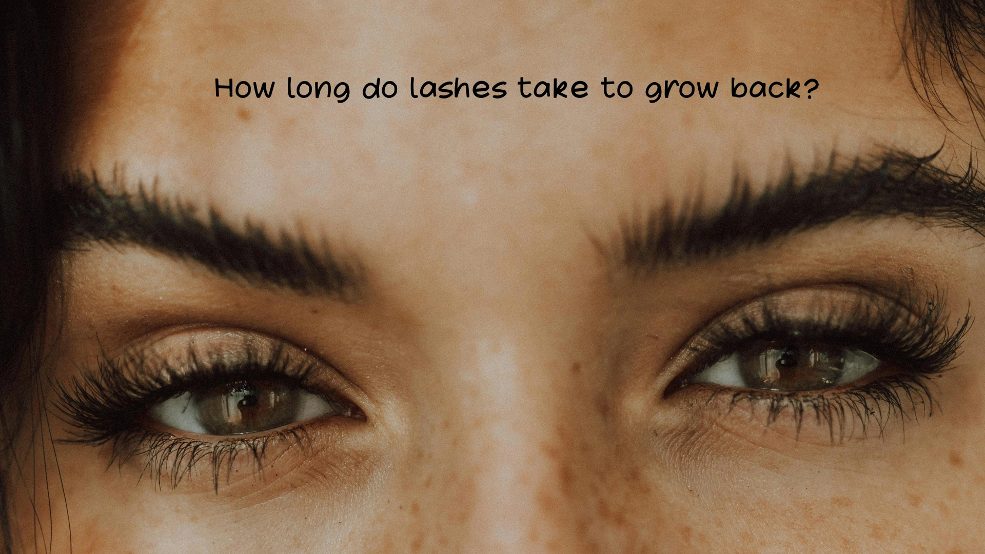 How long do lashes take to grow back